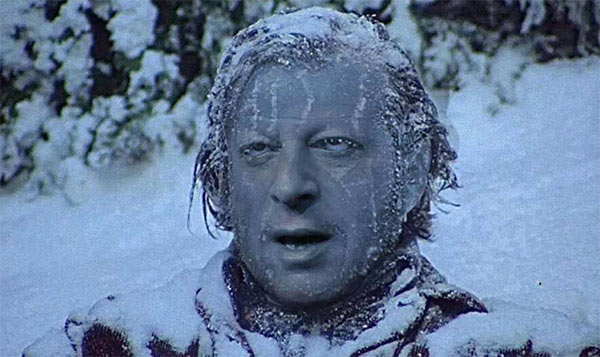 Al_Gore_Frozen.jpg