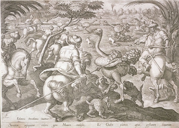 ostrich_hunt.jpg