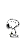 2dc5w1j.gif