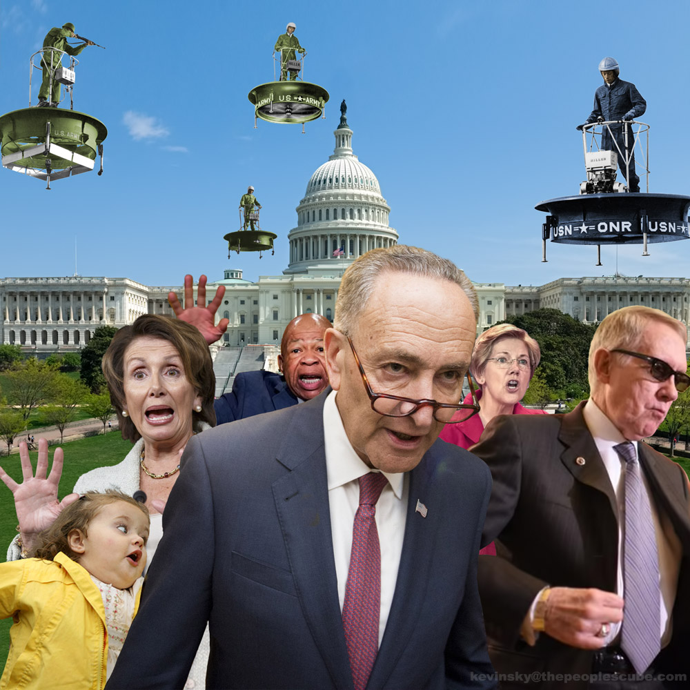Democrats-herded-by-Hiller-cube.jpg