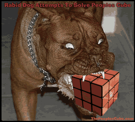 Rabid_Dog_Peoples_Cube.gif