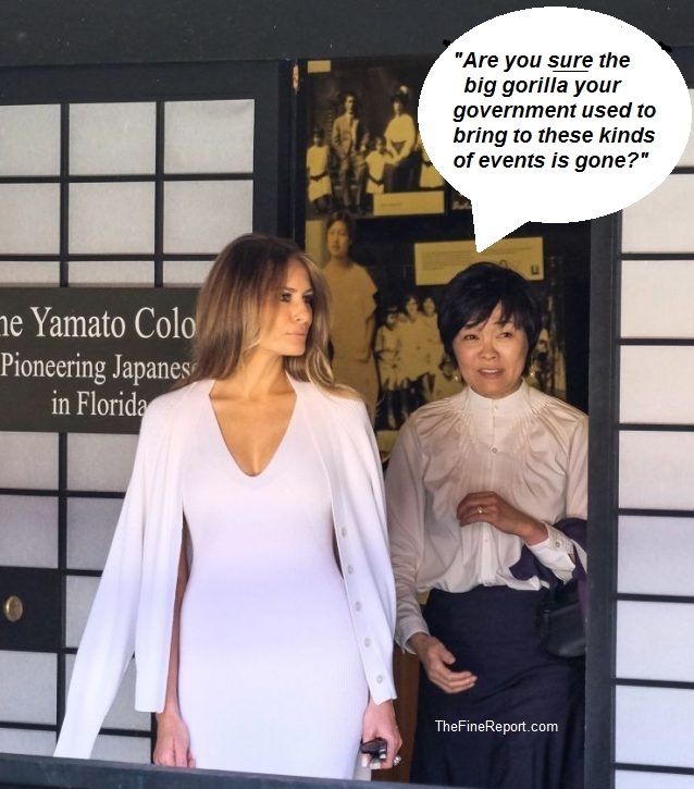 with Japan prime minister wife.jpg