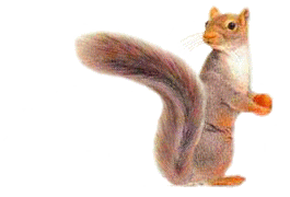 Tail Flick-slow GIF.gif