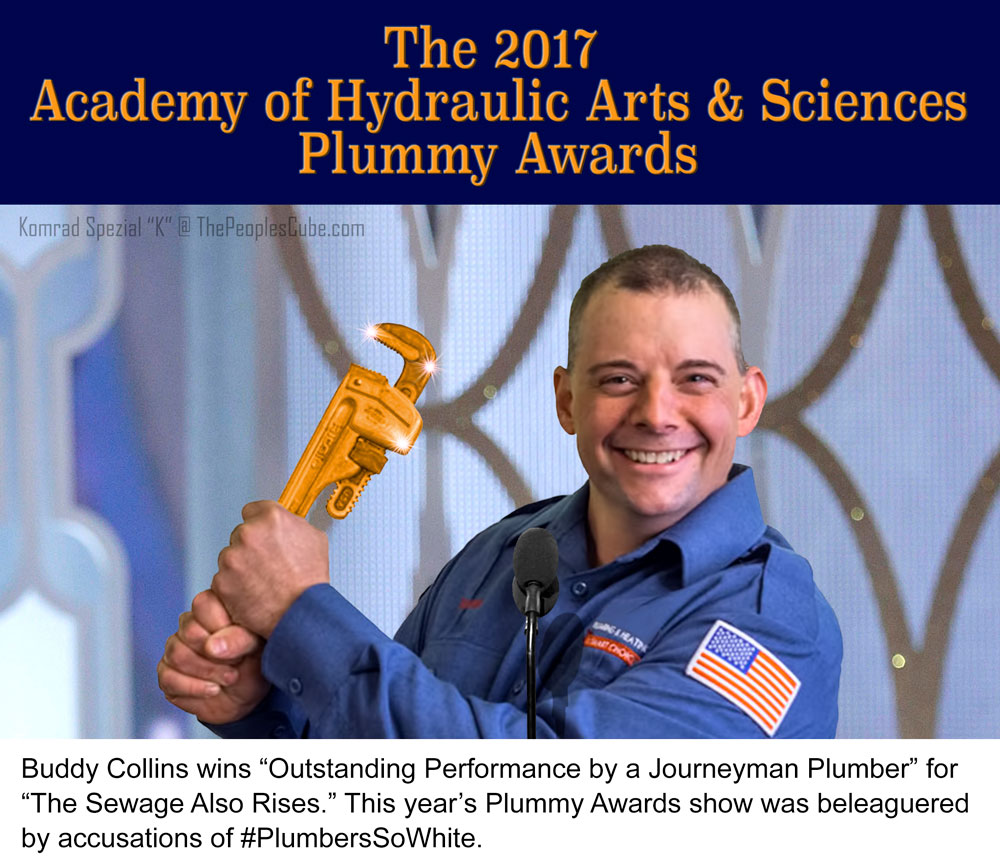 2017-Plummy-Awards.jpg