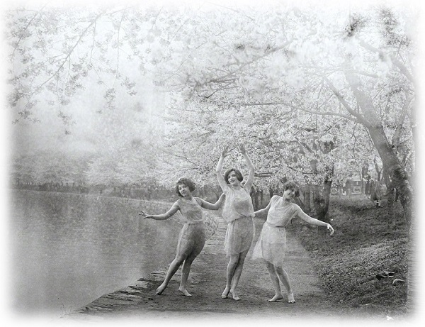 US_1927_WashDC_Tidal_Basin_Cherry_blossoms_(600).jpg