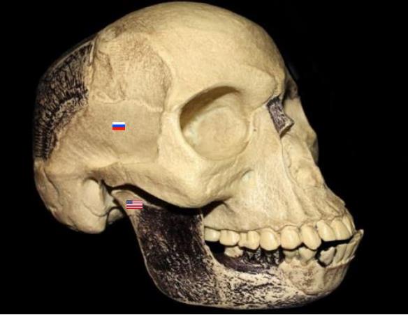 Piltdown Colluder.jpg