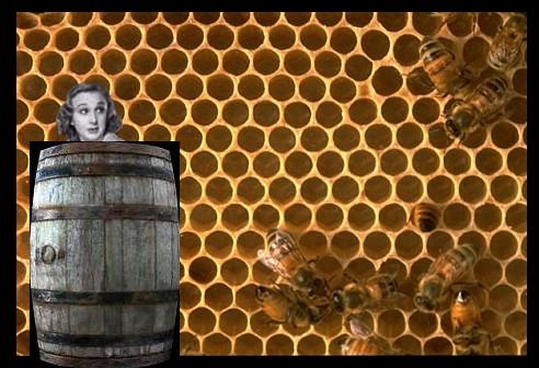 Googie bee bucket.jpg