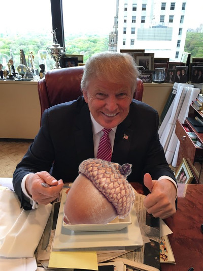 acorntrump.jpg