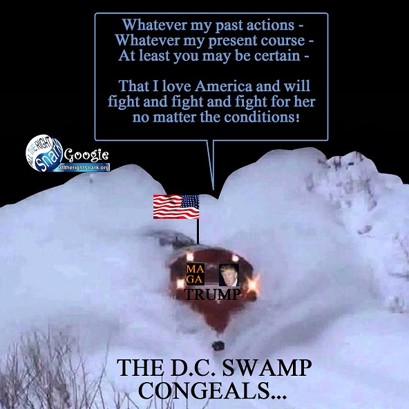swamp snow 37.jpg