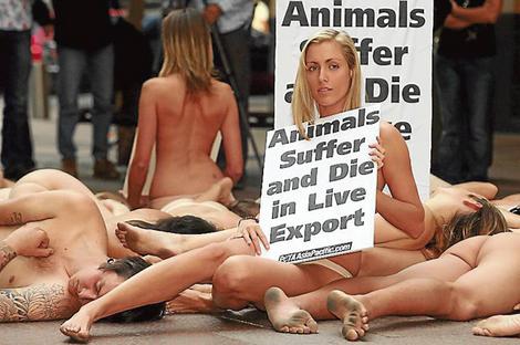 2peta_wideweb__470x312,0.jpg