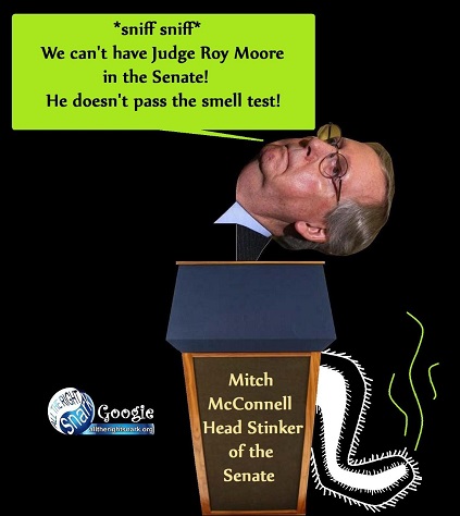 bologna dems 37 (2).jpg