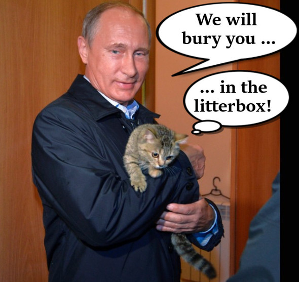 putincat.jpg