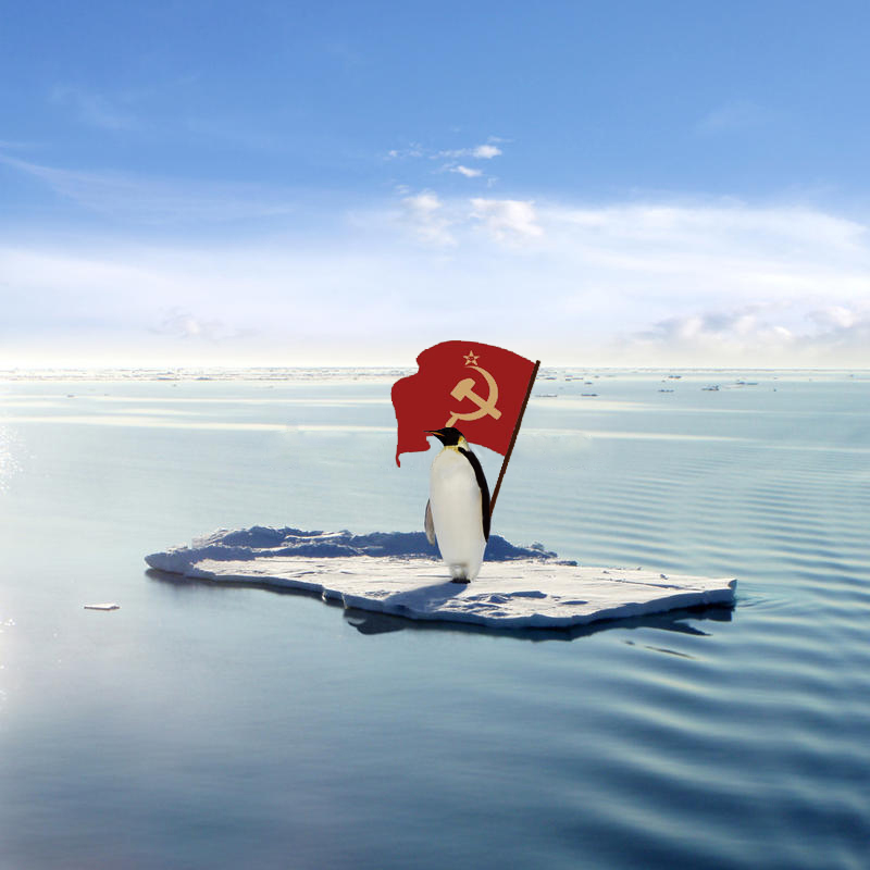 Penguin Ice Floe Kollektiv.jpg