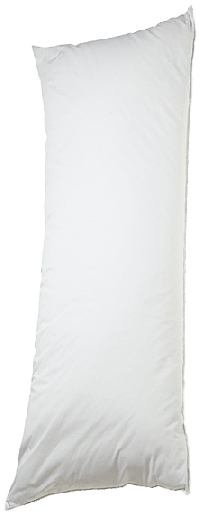 body pillow.PNG