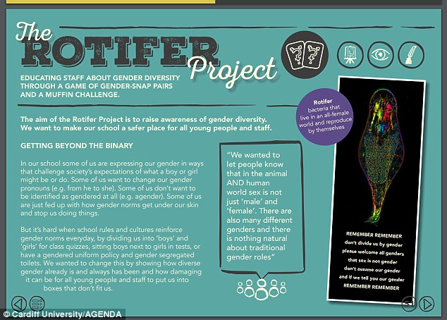 Transgender Muffin Challenge.jpg