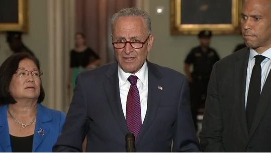 Chuck Schumer.png