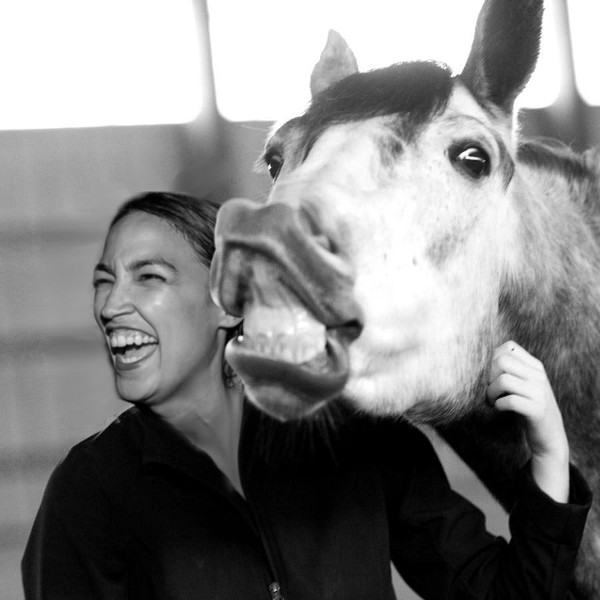 ocasio-cortez-horseface.jpg