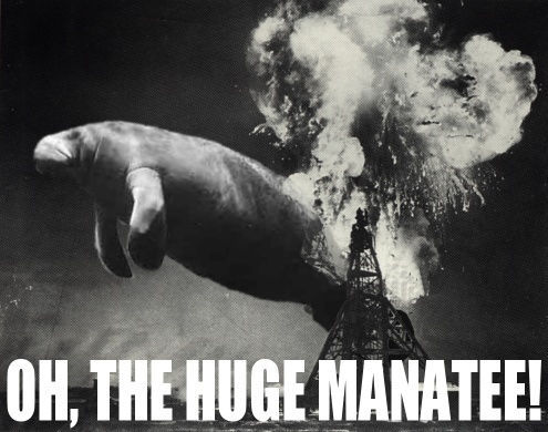 manatee small.jpg