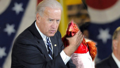 plugs and chicken.jpg
