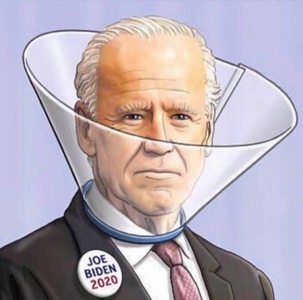 biden-dog.jpg
