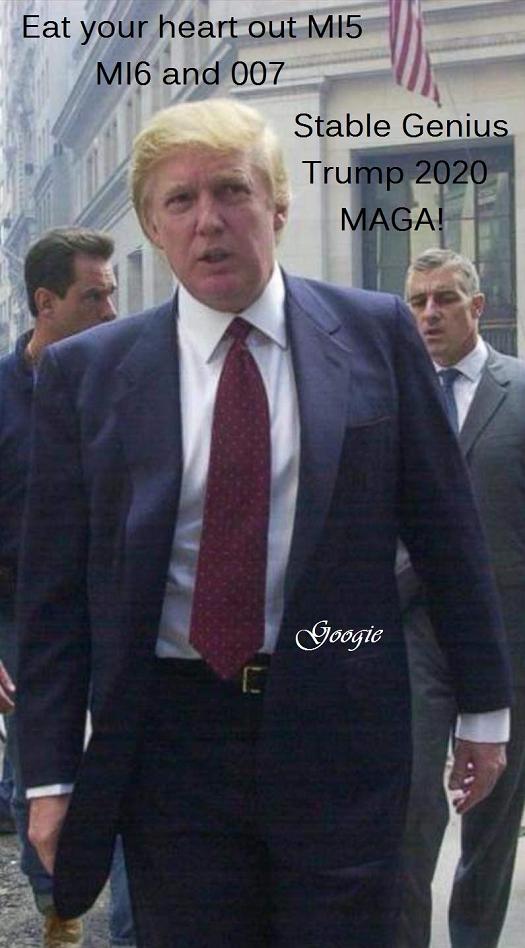 Trump Genius 66.jpg
