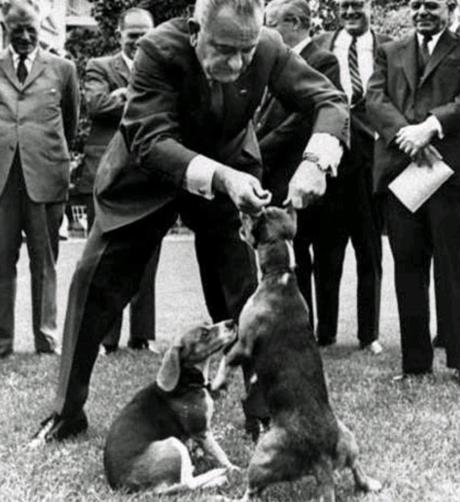lbj dogs.jpg