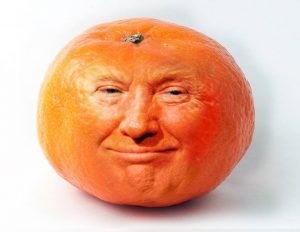 trumpmanorange-300x232.jpg