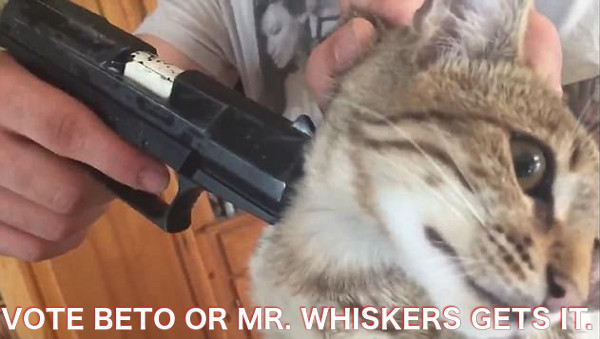 beto-cat-killer.jpg