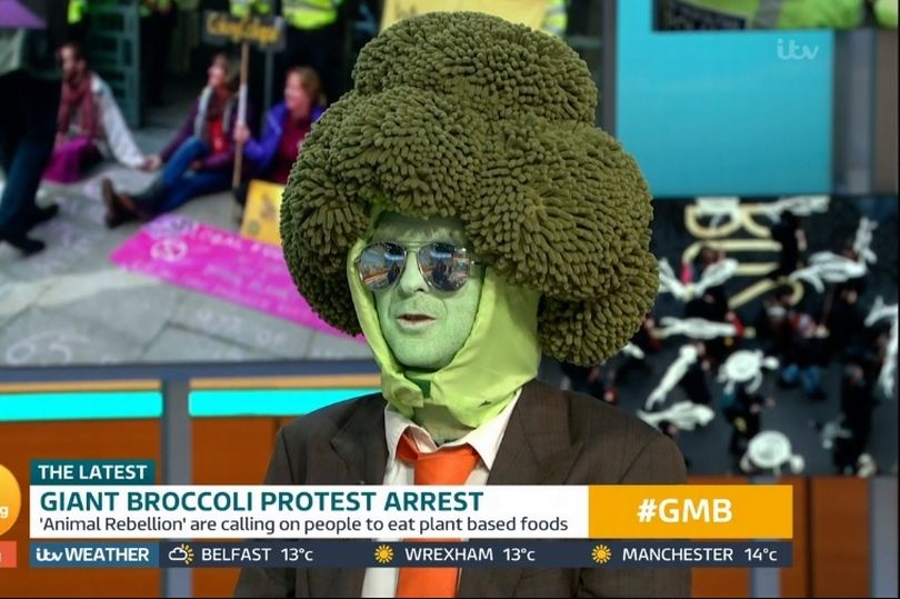 Broccoli Man.jpg
