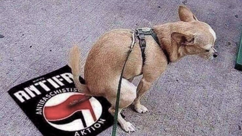 AntifaDog.PNG
