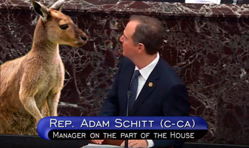 Kangaroo_Schiff_Shitt.jpg