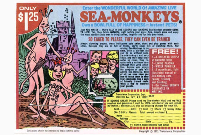 SeaMonkeyAd.jpg