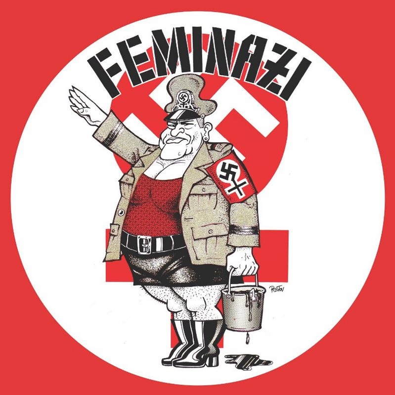 Feminazi cube.jpg