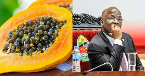 Tanzanian PawPaw and President Magufuli.jpeg
