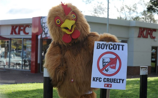 kfc-chicken_2445832b.jpg