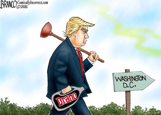 Drain the Swamp.jpeg