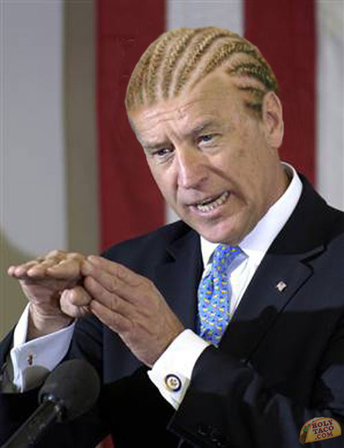 biden-corn-rows-2.jpeg