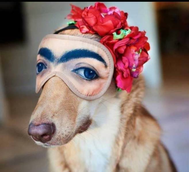 Frida_Kahlo.jpg