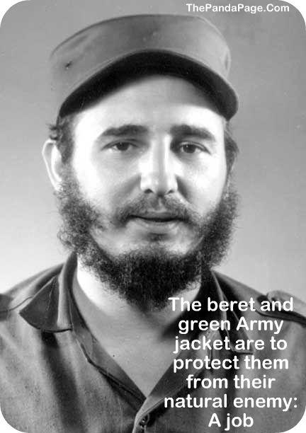 Castro.jpg