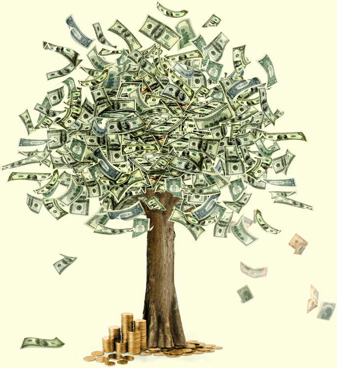 money tree.jpg