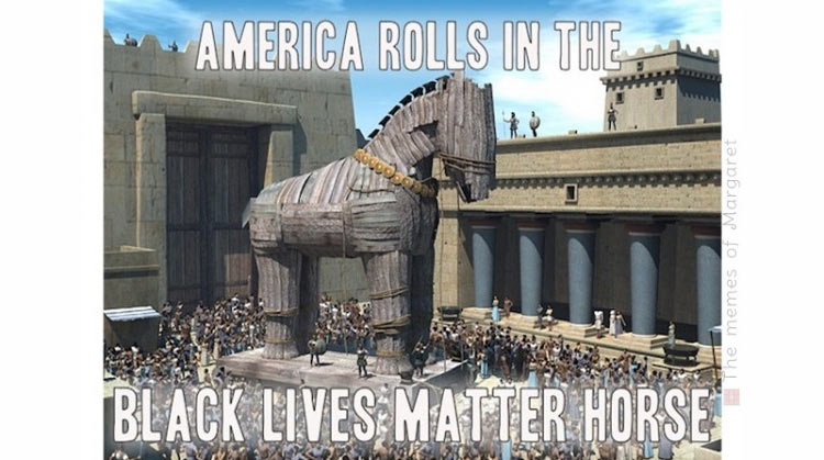 blm-trojan-horse.jpg