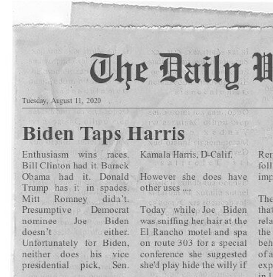 biden taps harris.jpg