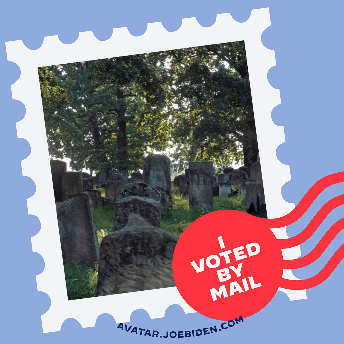 I voted for Joe - pic.jpeg
