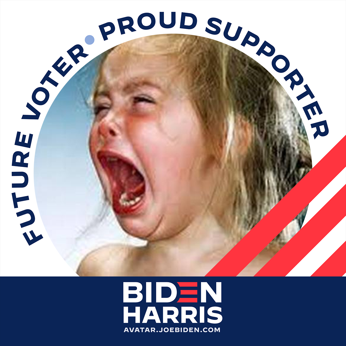 I voted for Joe - pic2.jpeg