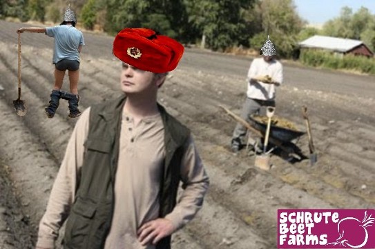 schrutefarms1.jpg