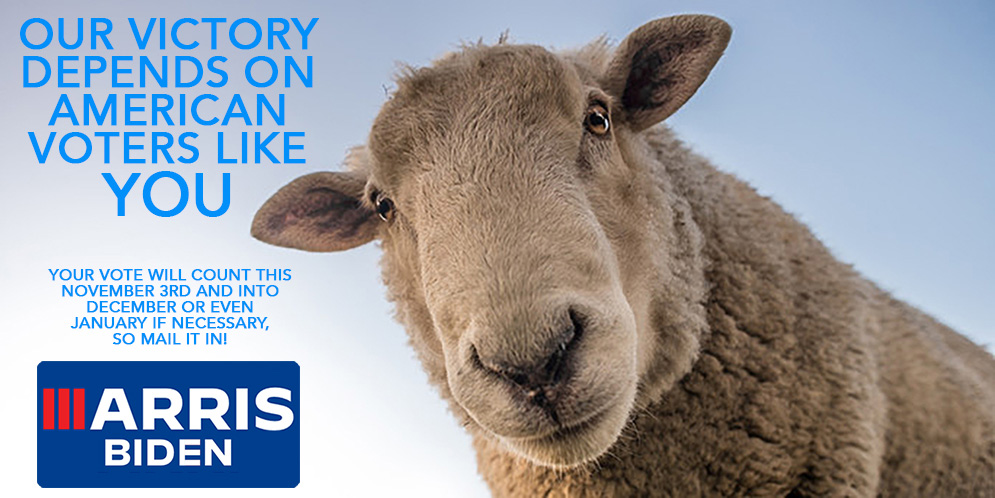 Voters Like Ewe Two.jpg