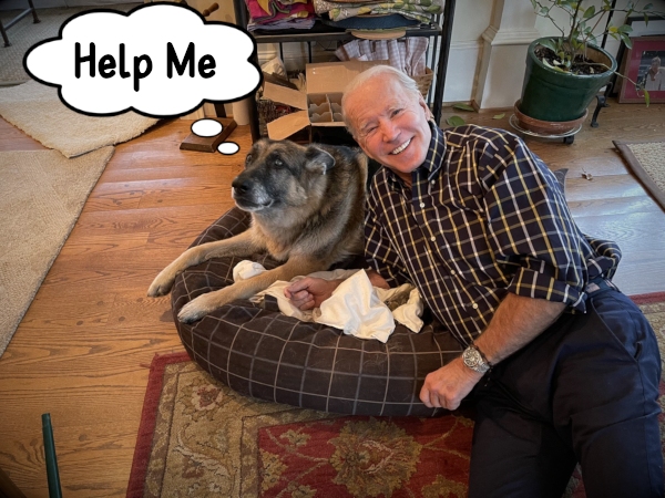 biden dog.jpg