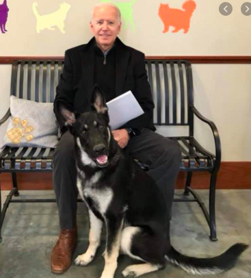 Screen Shot 2021-04-10 at 9.55.19 AM.png