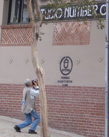 acorn-funded-prostitution-zone.jpg