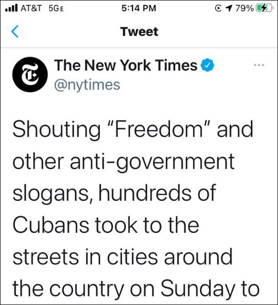 freedom anti government slogan.jpg